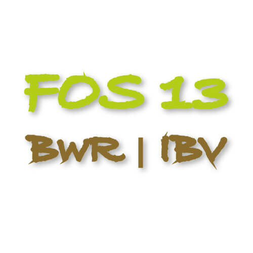 FOS 13 BwR | IBV